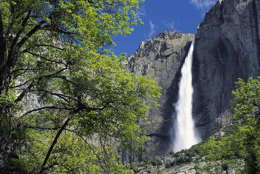 Bridal Veil Falls Yosemite National Photograph by Tim Fitzharris