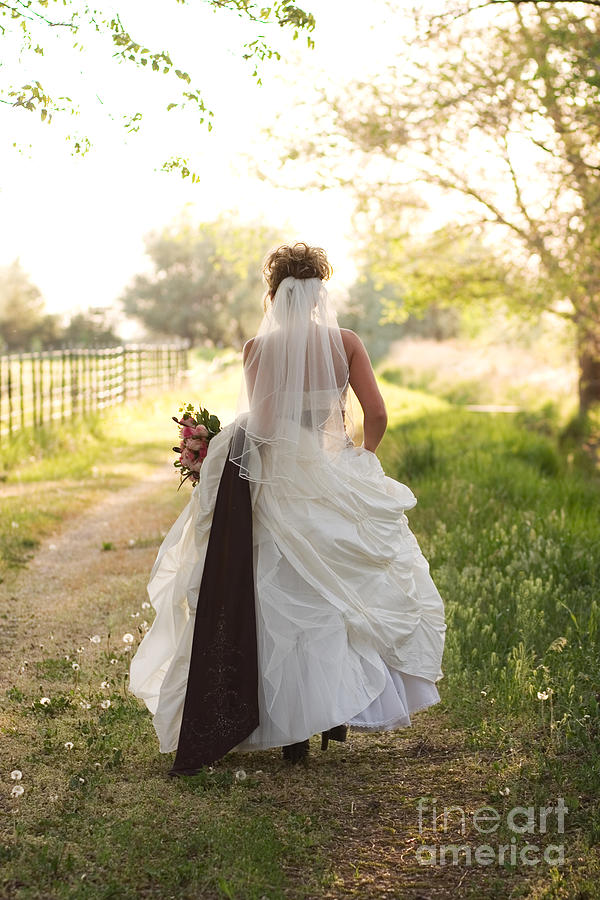 Rose Photograph - Bride on Country Road by Cindy Singleton