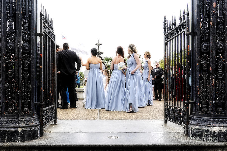 Bridal Photograph - Bridesmaids by Kathleen K Parker