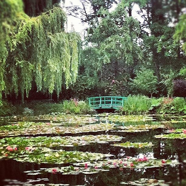 Claude Monet Photograph - Bridge & Pond by Marce HH