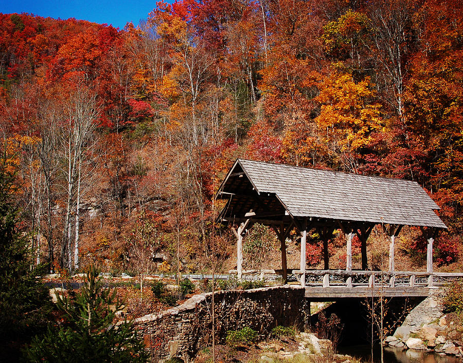 Bridge A Blaze Photograph By Katheryn Napier Fine Art America