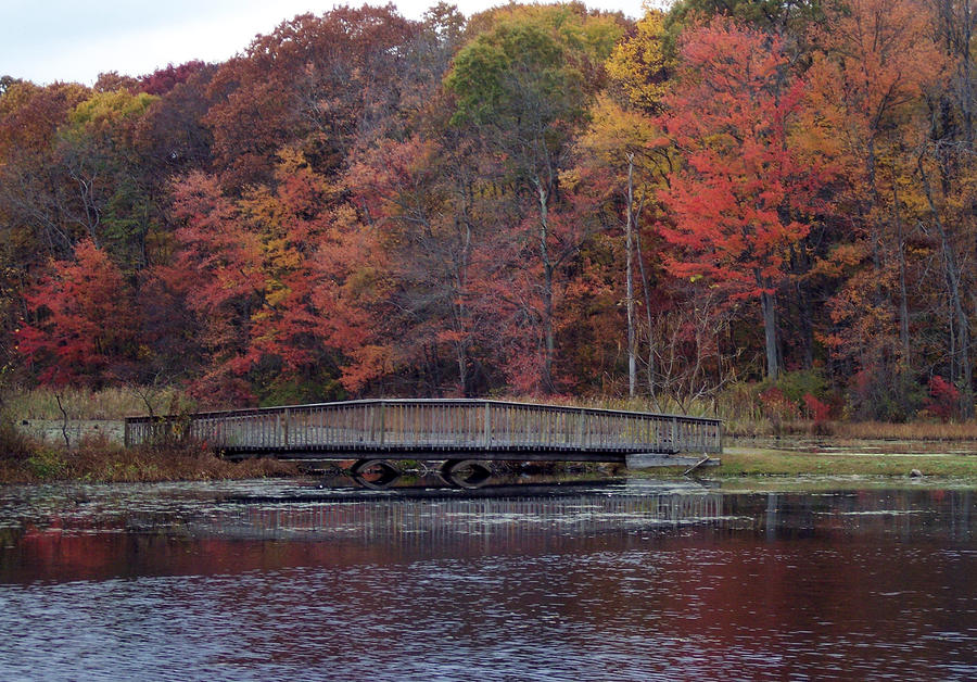 Fall Photograph - Bridge in Autumn by Richard Bryce and Family