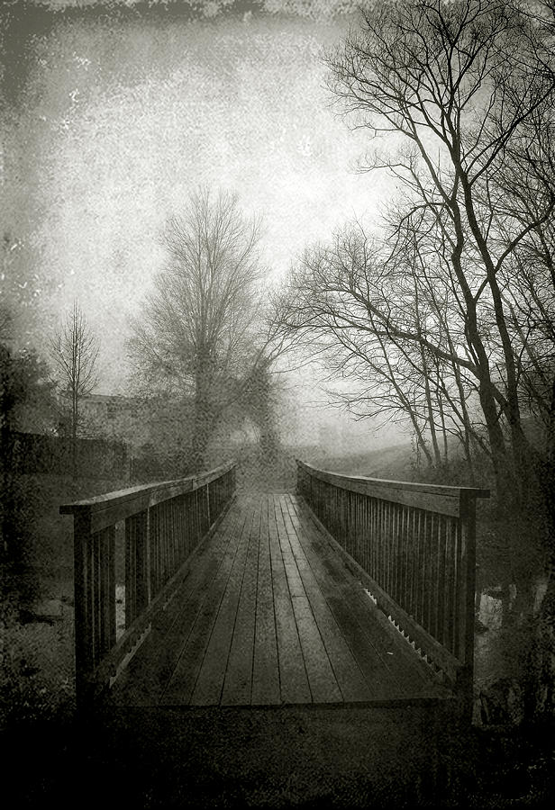 Bridge In Fog Photograph by Steven Ainsworth