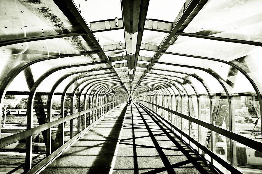 Bridge in monochrome Photograph by Tom Gowanlock