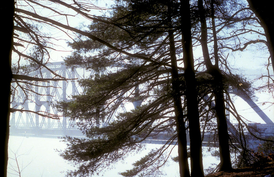 Bridge in the Fog 2 Photograph by Mark Dodd