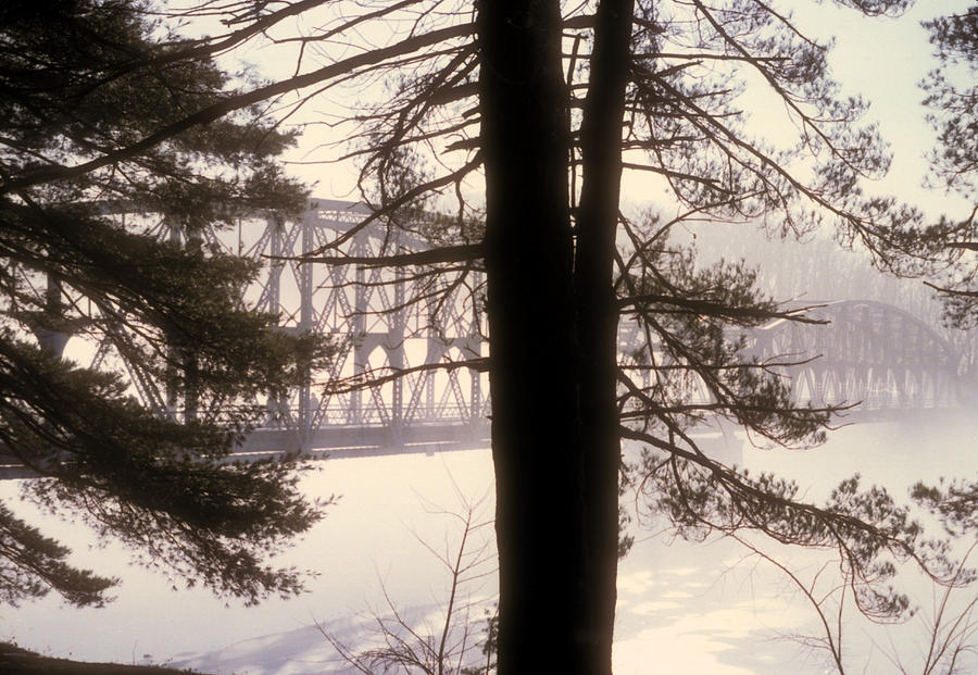 Bridge in the Fog Photograph by Mark Dodd
