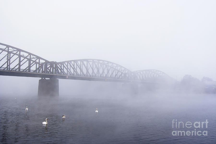 Bridge In The Fog Photograph by Michal Boubin