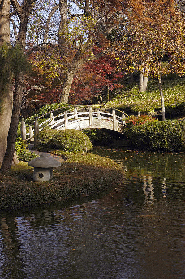Bridge in the Japanese Gardens Photograph by Greg Kopriva