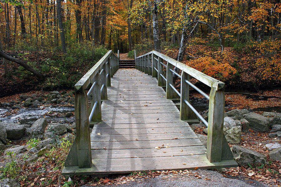Bridge Into Autumn Photograph by Kay Novy