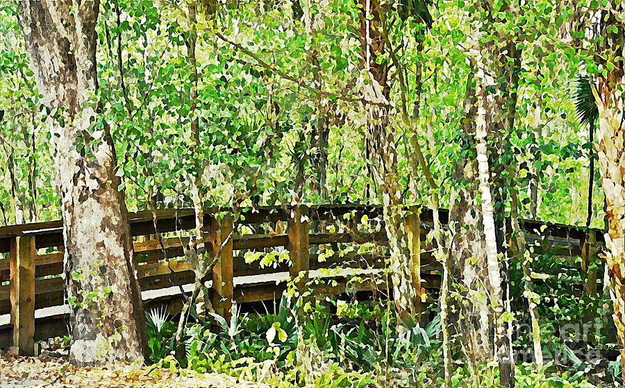 Tree Photograph - Bridge Into The Woods by Carol  Bradley