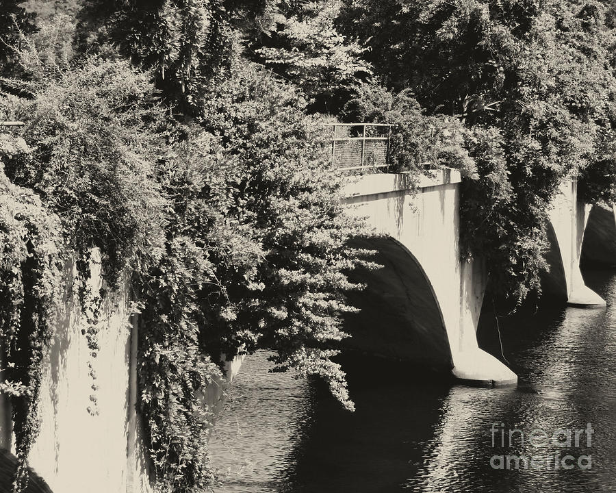 Bridge Of Flowers In Black And White Photograph by Smilin Eyes Treasures