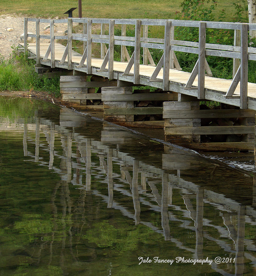 Bridge of Reflection Photograph by Jale Fancey