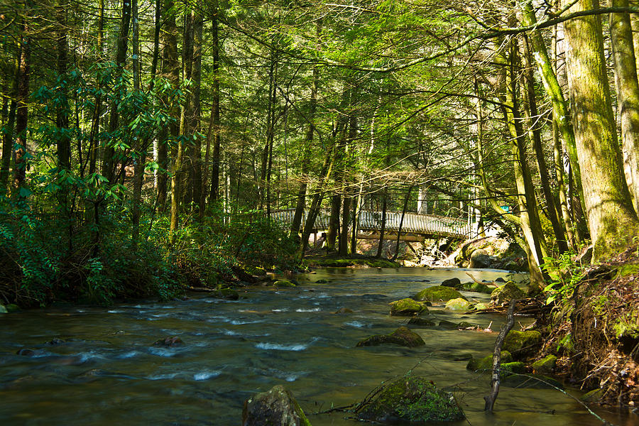 Bridge Over Creek Helen Georgia 1 Photograph by Douglas Barnett - Fine ...