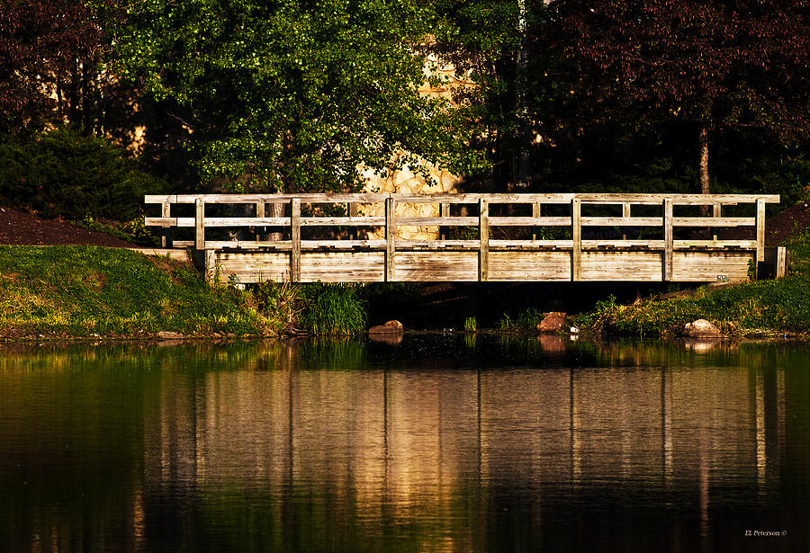 Bridge Over Quiet Water Photograph by Ed Peterson