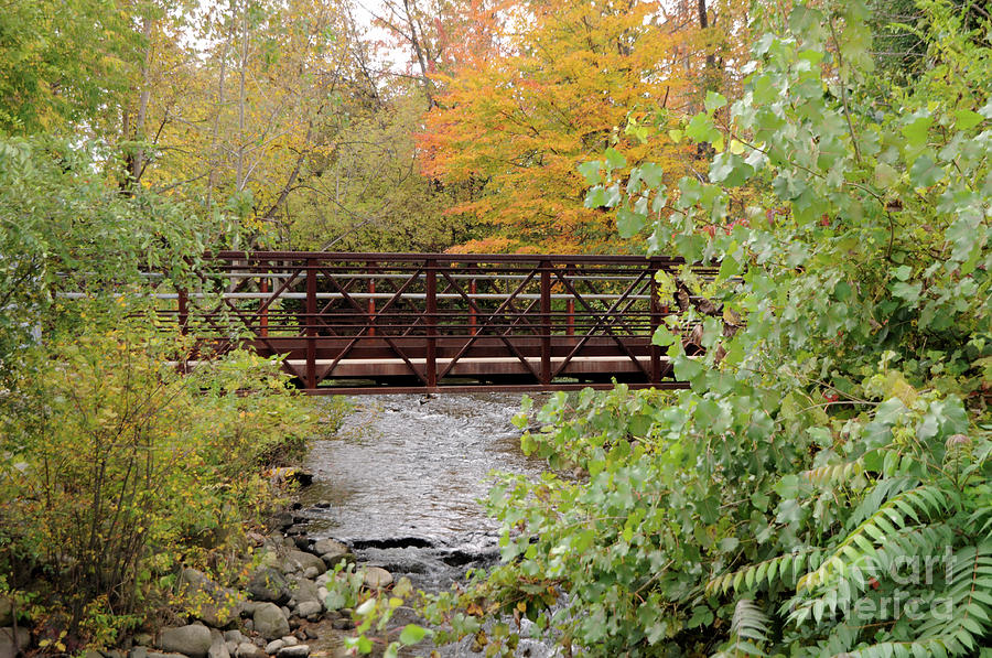Fall Photograph - Bridge over River by Ronald Grogan