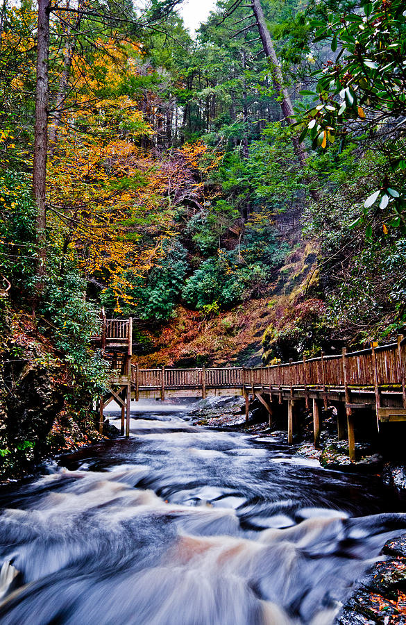 Fall Photograph - Bridge Over Troubled Waters by Dave Hahn