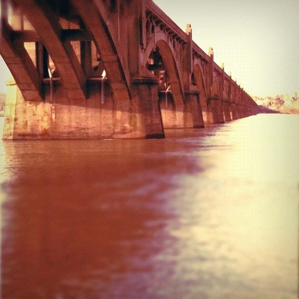 Bridge Photograph - Bridge by Renee Ellis