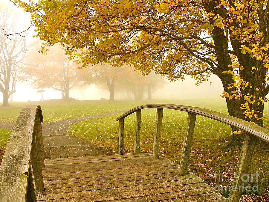 Bridge to Autumn Photograph by Parrish Todd