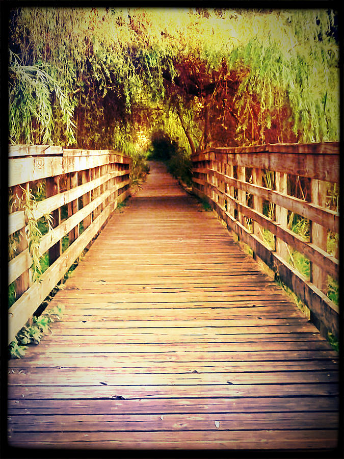 Bridge To Serenity Photograph By Lee Yang - Fine Art America