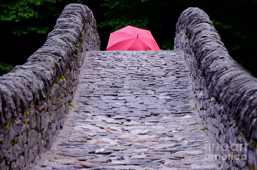 Bridge Photograph - Bridge with a umbrella by Mats Silvan