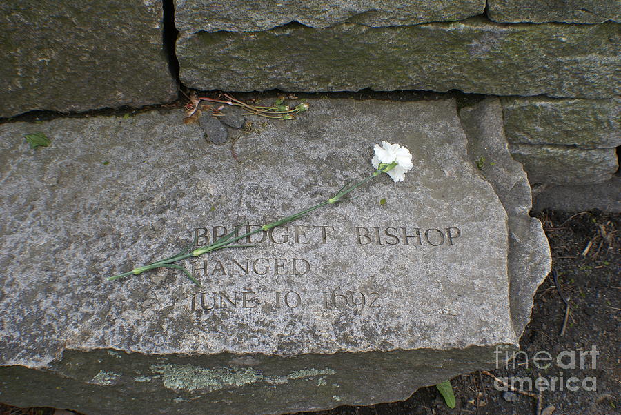 Bridget Photograph by Tracey Towne Pixels