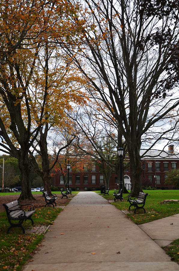 Boston Photograph - Bridgewater State University by Amanda Vouglas