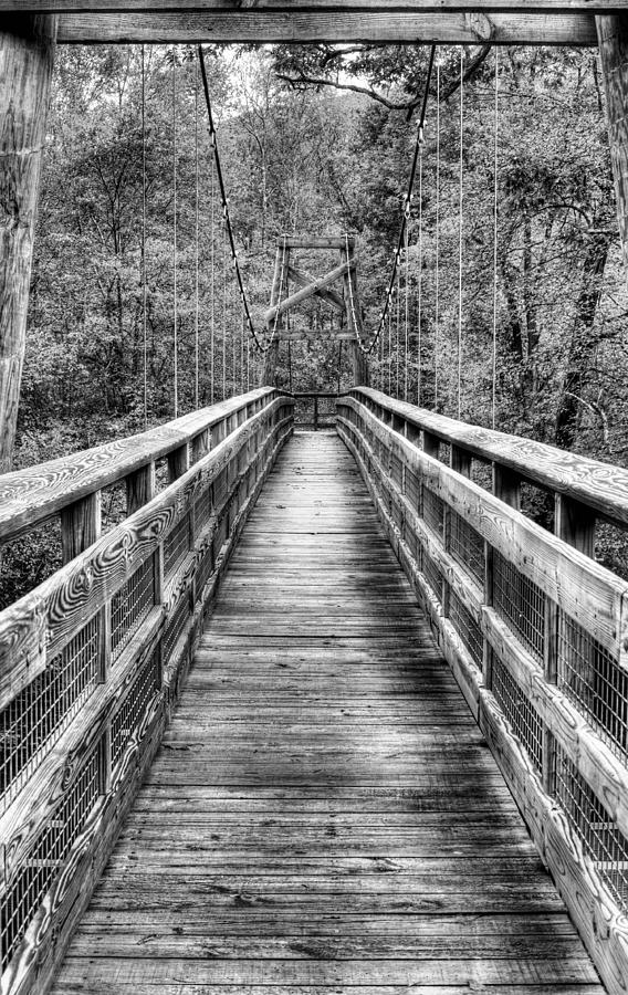 Bridging the Seasons BW Photograph by JC Findley