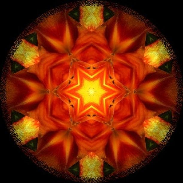 Instagram Photograph - #bright #orange And #yellow #fractal by Pixie Copley