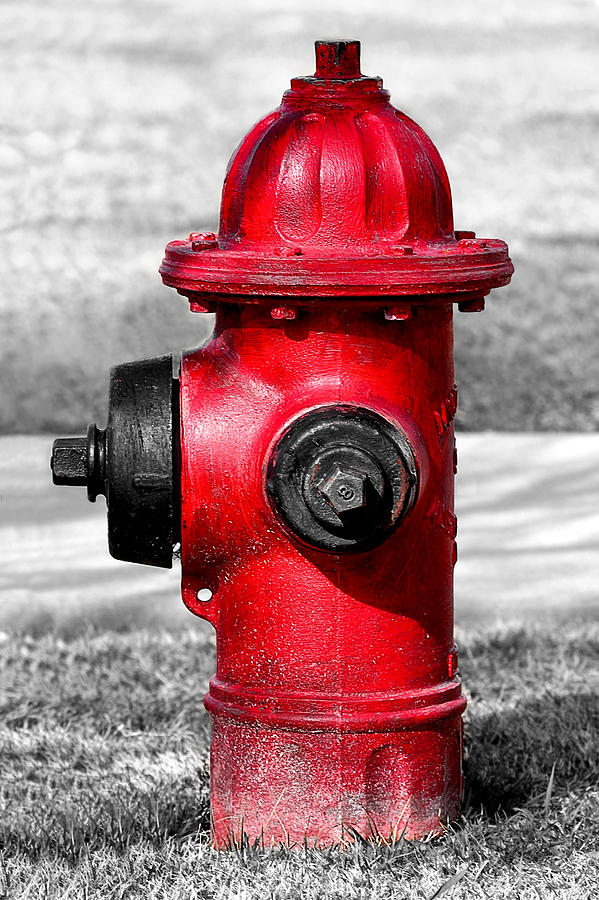 Bright Red Fire Hydrant Photograph by Tracie Schiebel