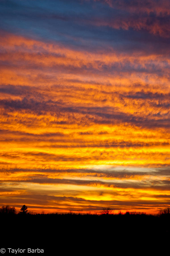 Sunset Photograph - Bright Sunset  by Taylor Barba