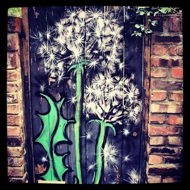 Flower Photograph - #bristolgraffiti #bristol #easton by Nigel Brown