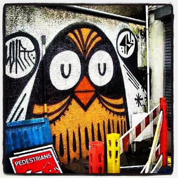 Owl Photograph - #bristolgraffiti#bristol#instagraff by Nigel Brown