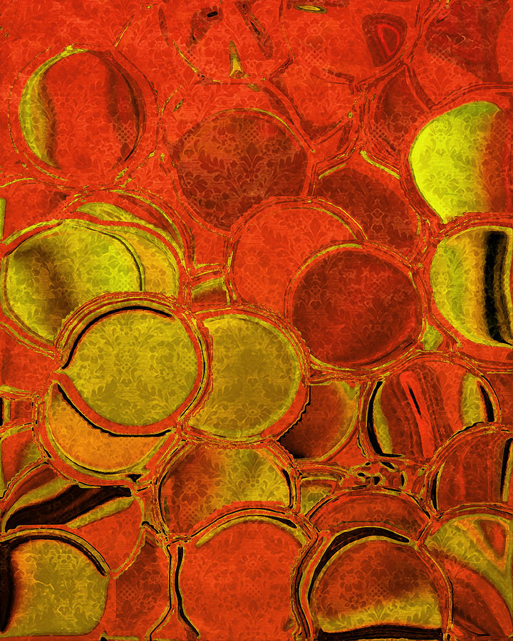 Brocade Circles Digital Art by Bonnie Bruno Brocade Circles Digital Art by Bonnie Bruno