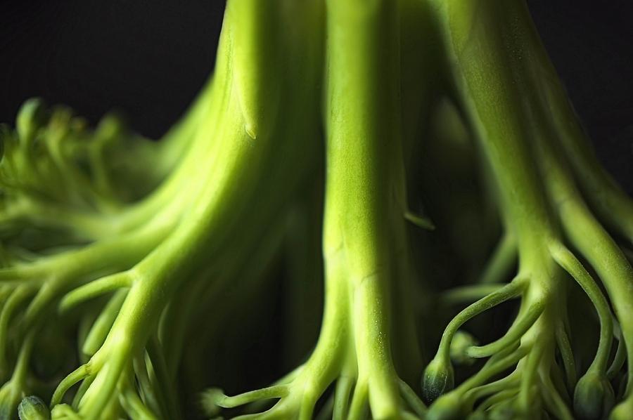 Vegetable Photograph - Broccoli Abstract by Jenny Hudson