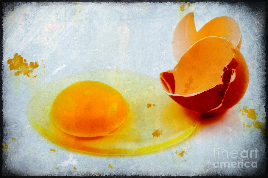 Broken egg Photograph by Silvia Ganora