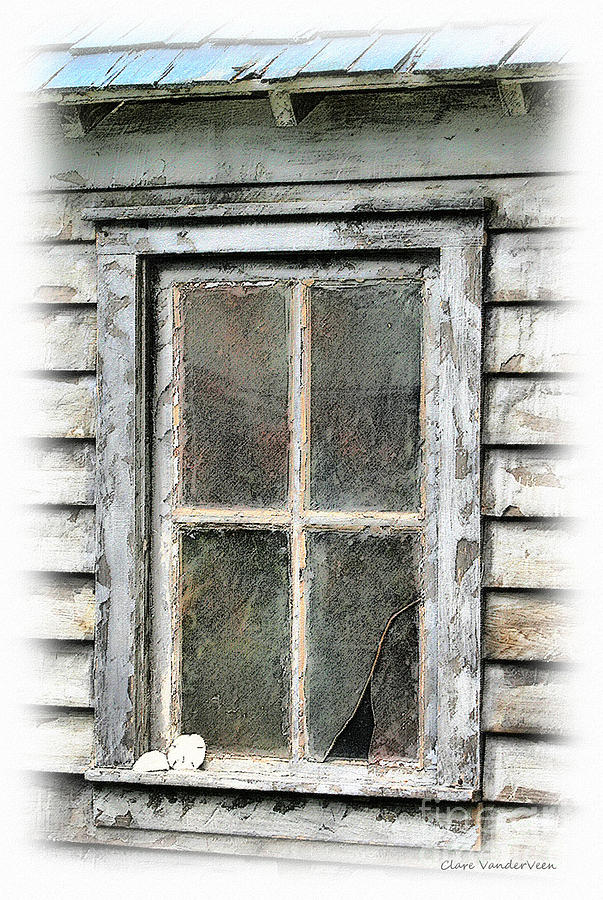 Broken Window With Sand Dollar Photograph by Clare VanderVeen