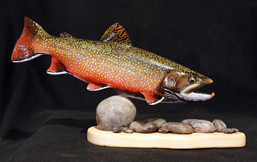 Brook Trout 14 Inch by Eric Knowlton