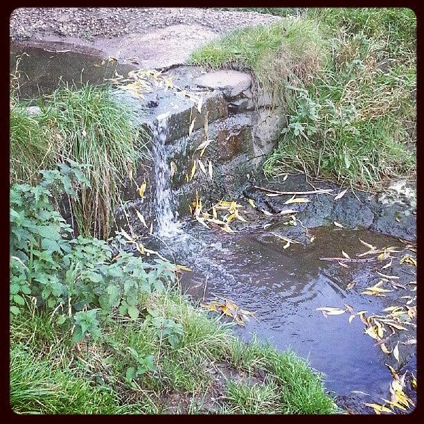 Water Photograph - #brook #water #leaves #instagram #steam by Kay K