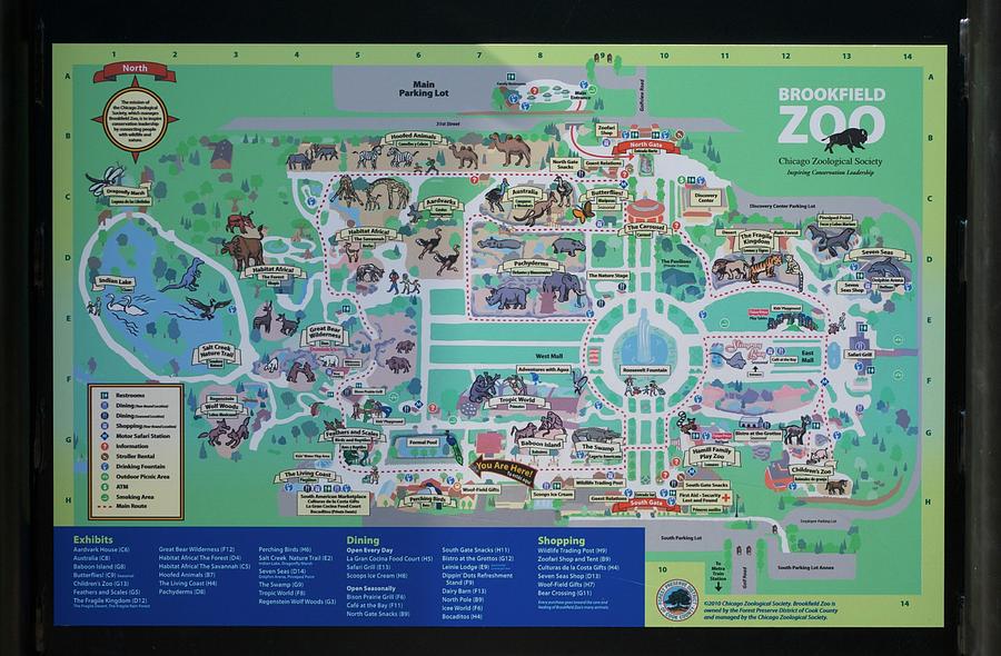 Animal Photograph - Brookfield Zoo Map by Thomas Woolworth