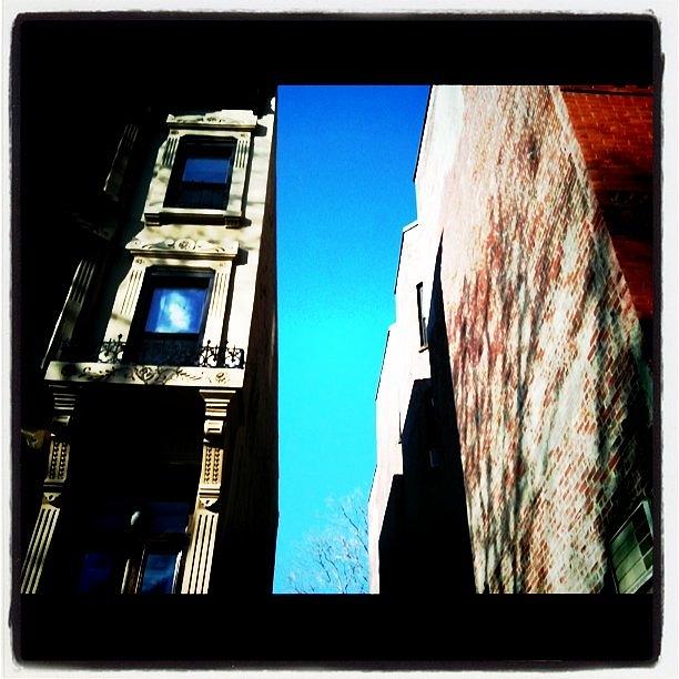 Brooklyn Photograph - Brooklyn Sidewalk Views by Fern Fiddlehead