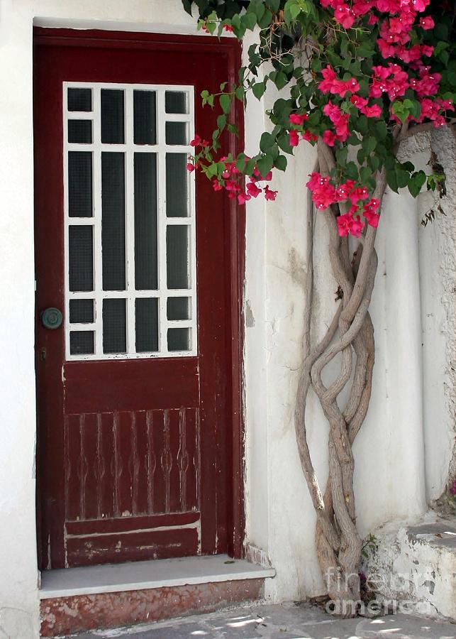 Brown Door in Greece Photograph by Sabrina L Ryan