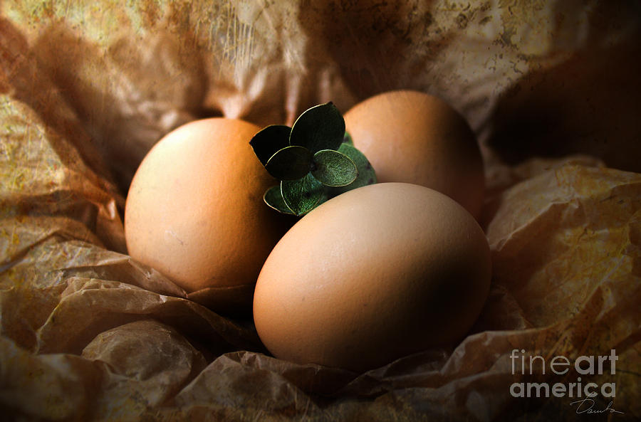 Decorating Photograph - Brown Easter Eggs by Danuta Bennett