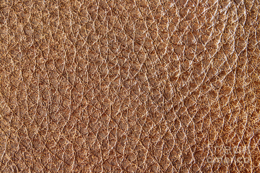 Abstract Photograph - Brown leather grain by Blink Images