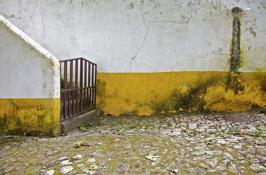 Brown Weathered Wrought Iron Gate of the Medieval Village of Obidos Photograph by David Letts
