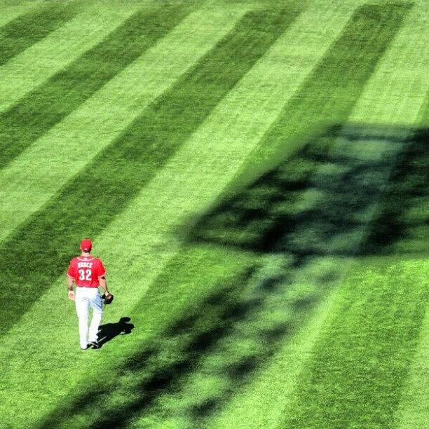 Reds Photograph - Bruce And His Shadow... #reds by Heather Anne