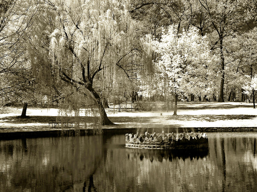 Bryant Pond 1 Photograph by Alan Hausenflock