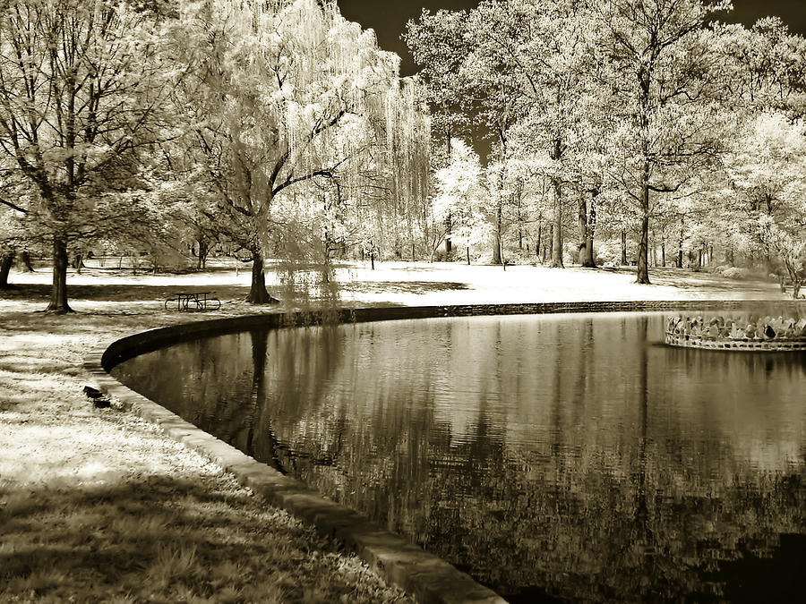 Bryant Pond 2 Photograph by Alan Hausenflock