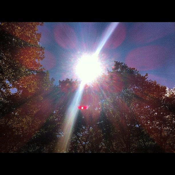 Sunshine Photograph - #bryantpark #sunshine And Im Not by Chelsea Daus
