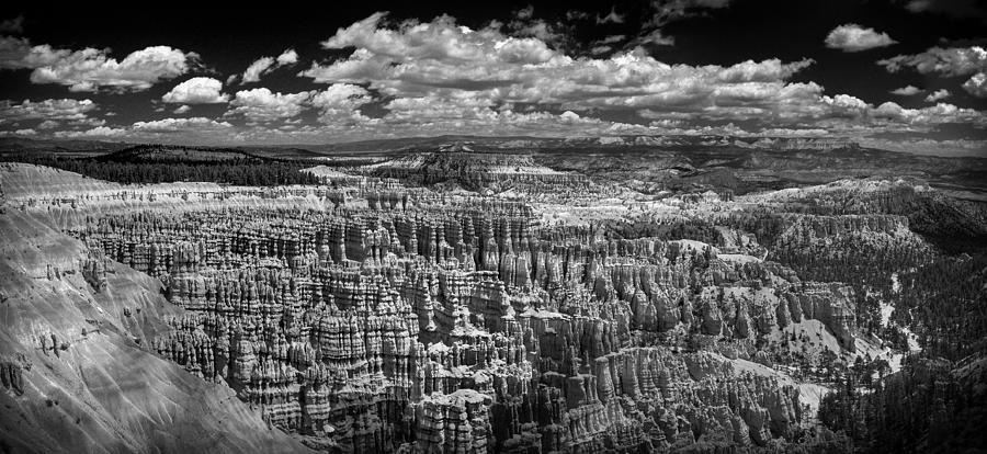 Bryce Canyon - Black and White Photograph by Larry Carr