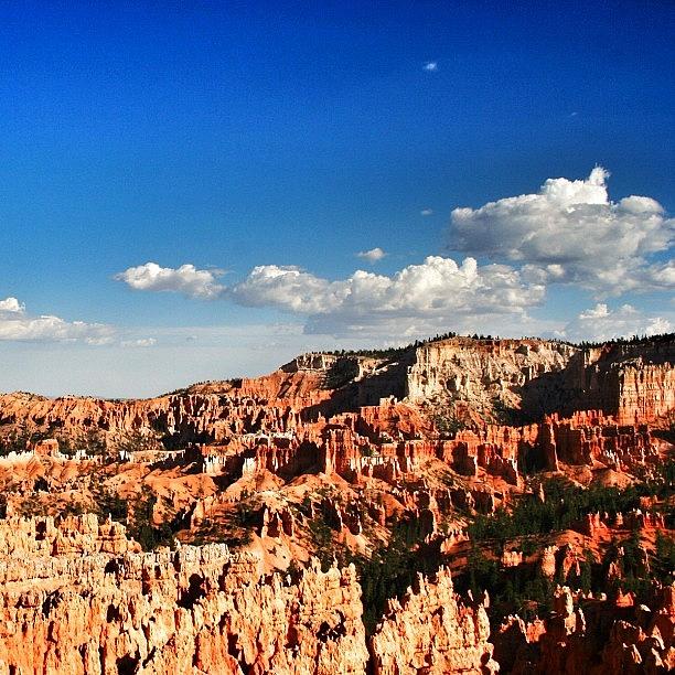 Nature Photograph - Bryce Canyon - Utah by Luisa Azzolini